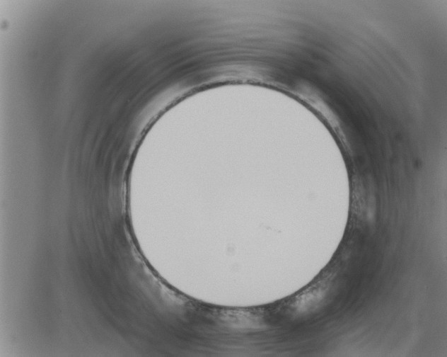 X0000083530807200702161911