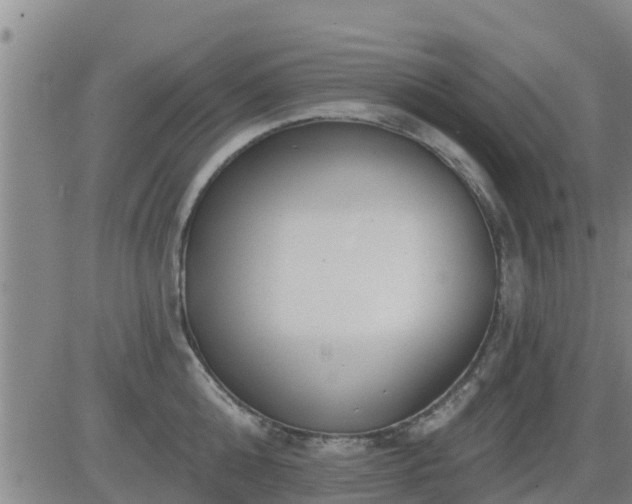 X0000083530808200702161911