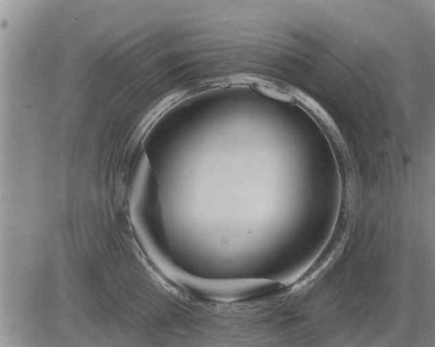 X0000083530809200702161911