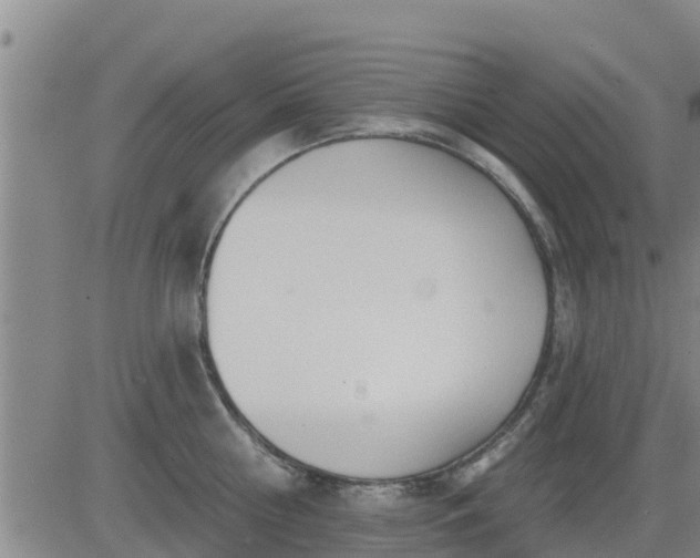 X0000083530810200702161911