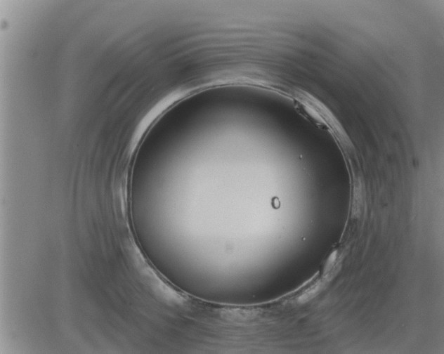 X0000083530812200702161911