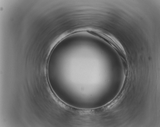 X0000083530813200702161911