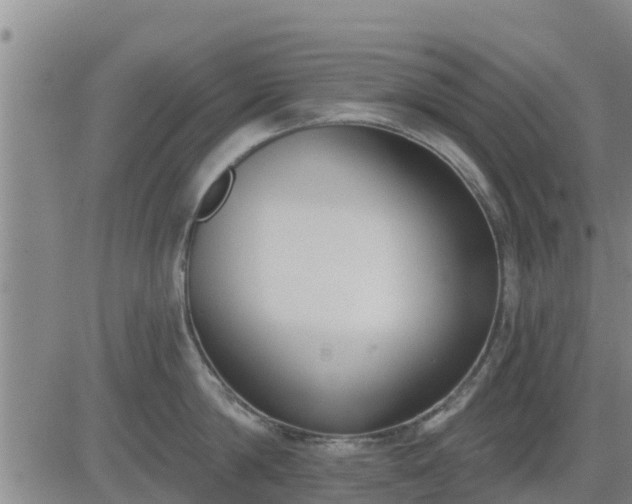 X0000083530814200702161911