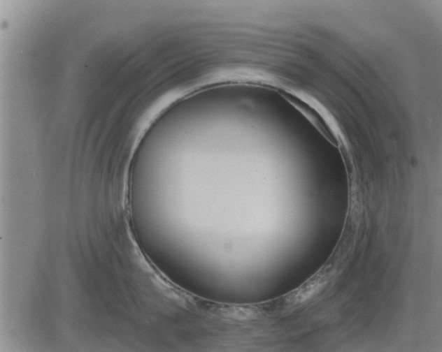 X0000083530815200702161911