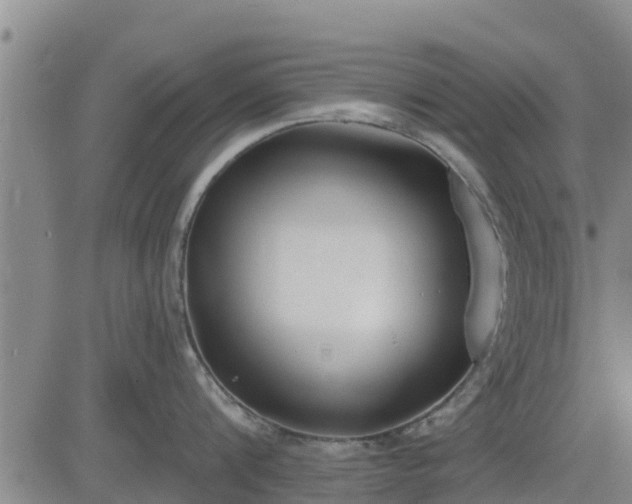 X0000083530816200702161911