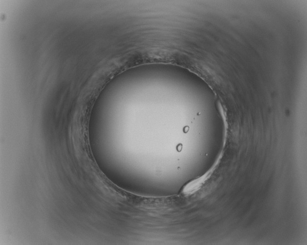 X0000083530817200702161910