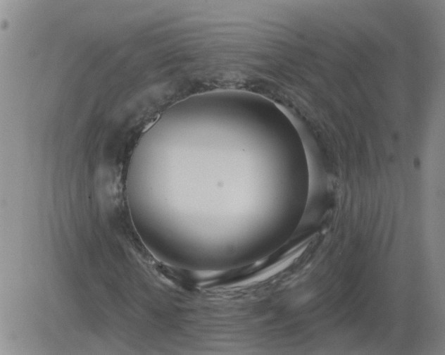 X0000083530818200702161910