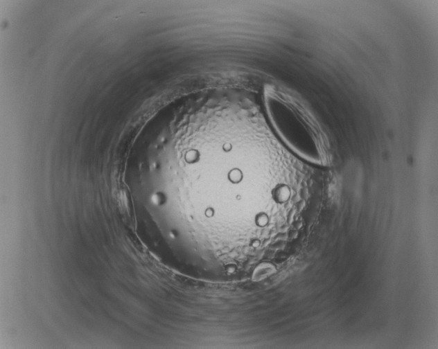 X0000083530819200702161910