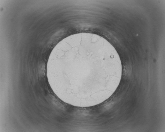 X0000083530820200702161910