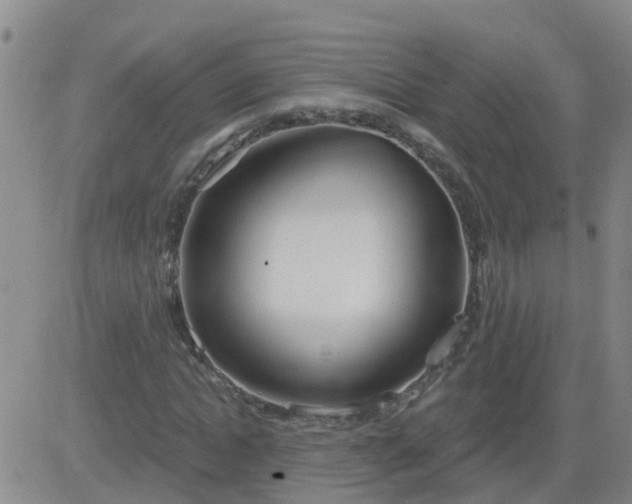 X0000083530822200702161910