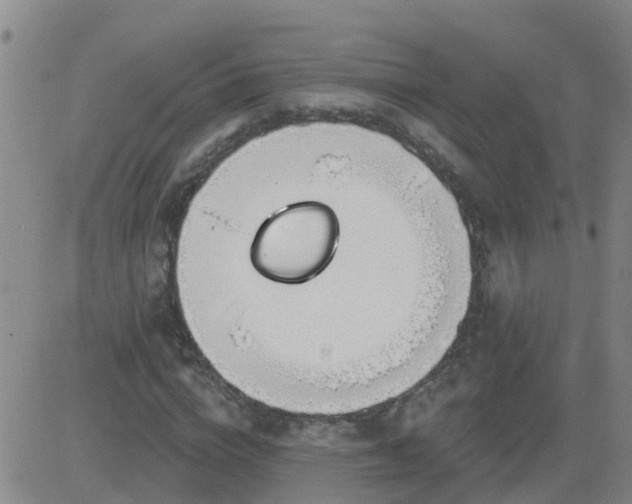 X0000083530824200702161910