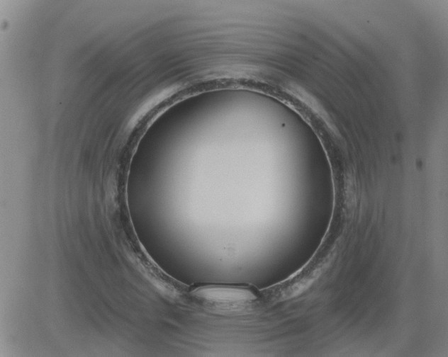 X0000083530826200702161910