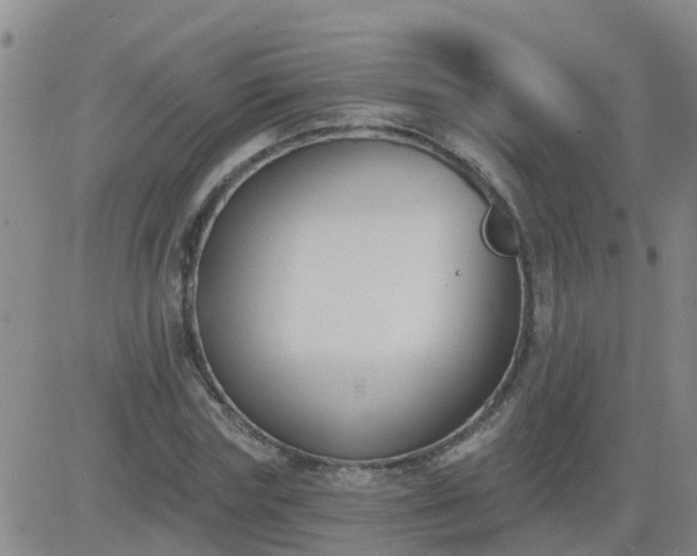 X0000083530827200702161910