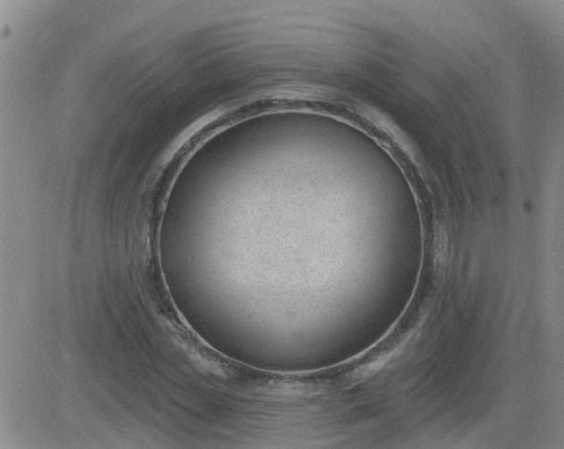 X0000083530829200702161910