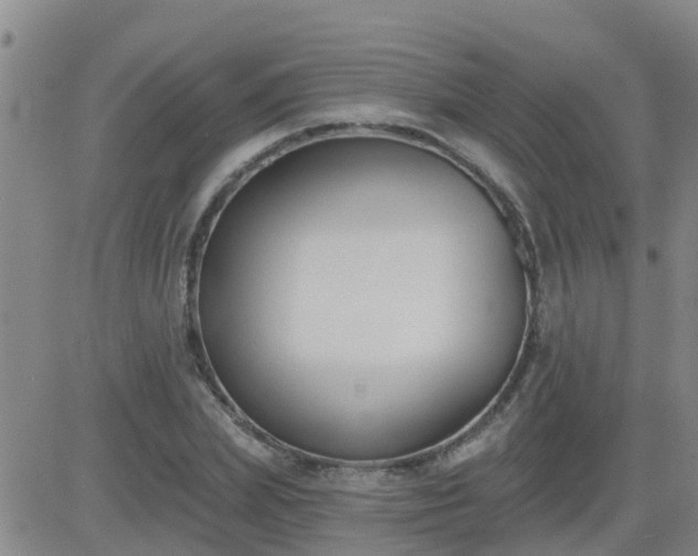 X0000083530831200702161910