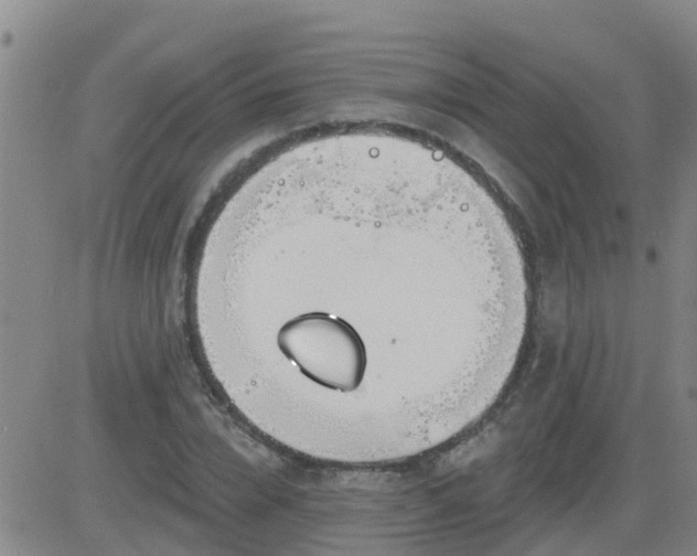 X0000083530832200702161910