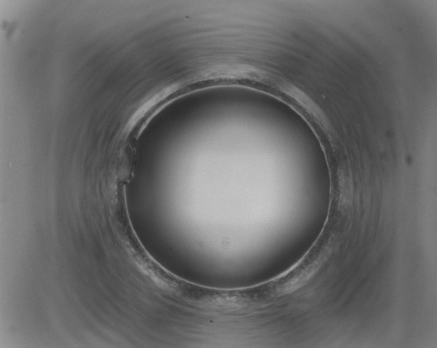 X0000083530834200702161910