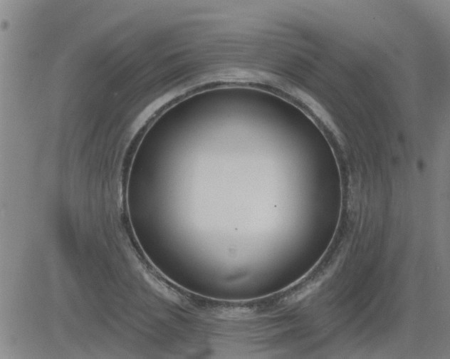 X0000083530837200702161910