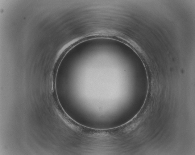 X0000083530838200702161910