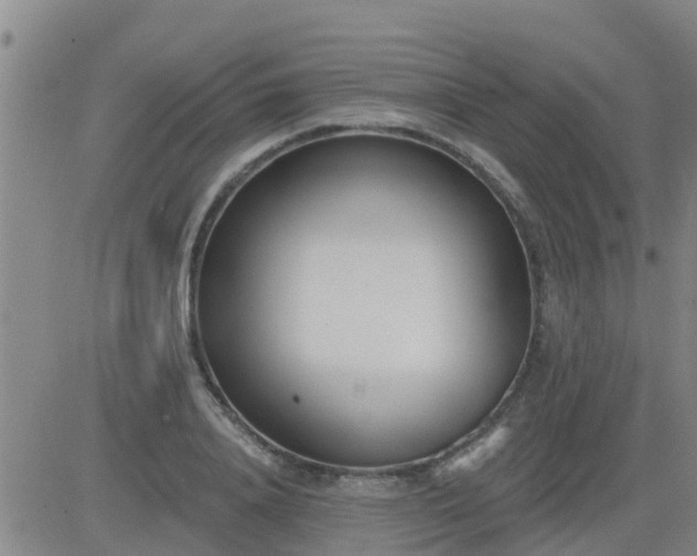 X0000083530840200702161910