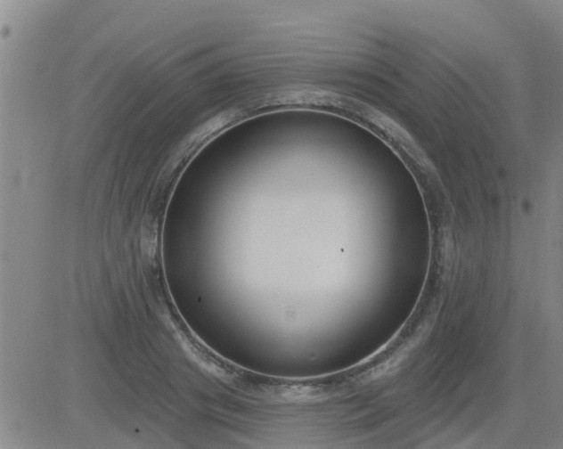 X0000083530841200702161910