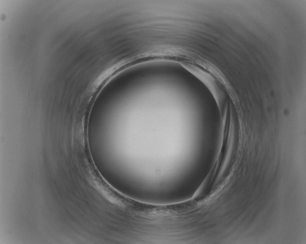 X0000083530842200702161910