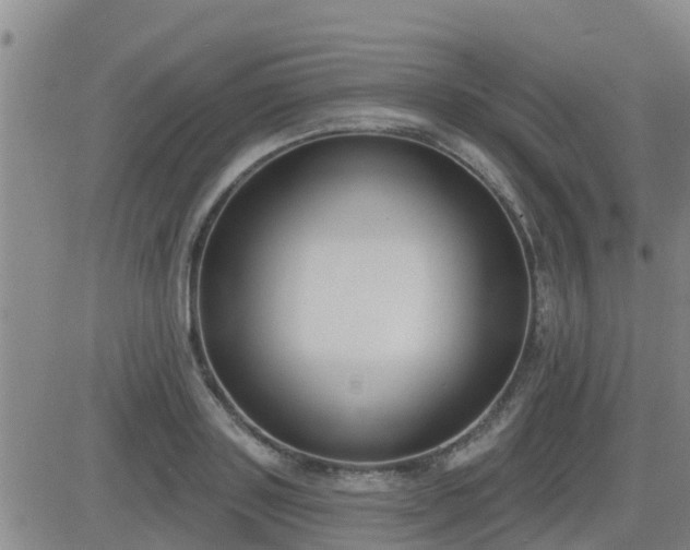 X0000083530843200702161910