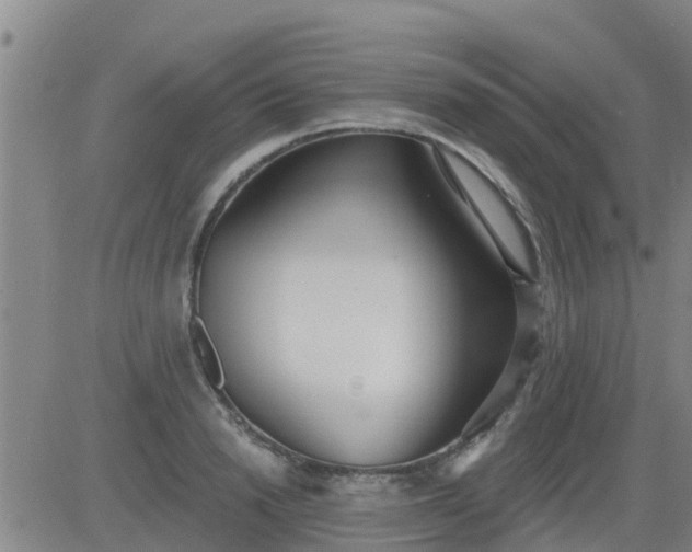 X0000083530846200702161910