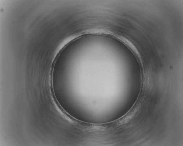 X0000083530847200702161910