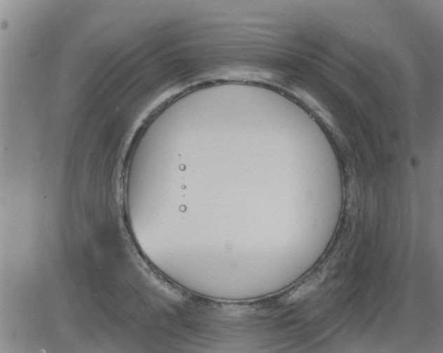 X0000083530848200702161910