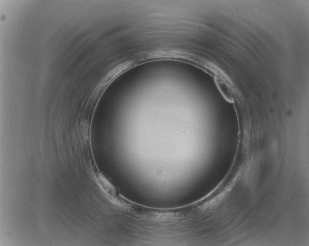 X0000083530849200702161910