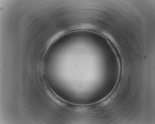 X0000083530850200702161910