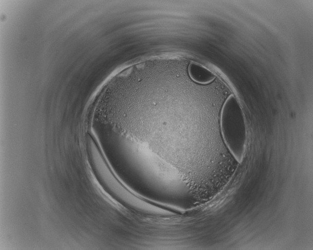 X0000083530851200702161910