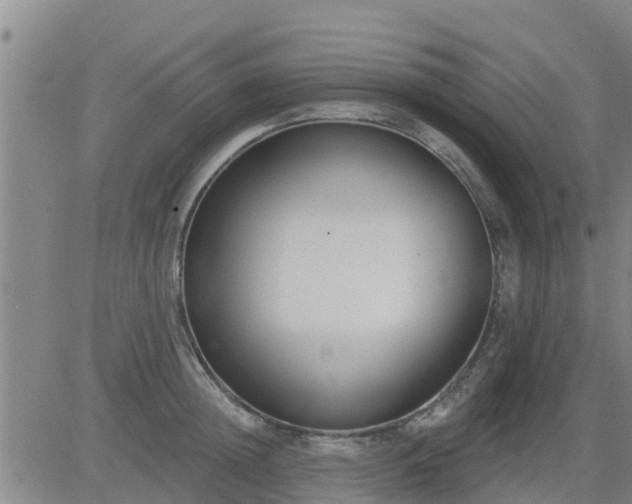 X0000083530852200702161910