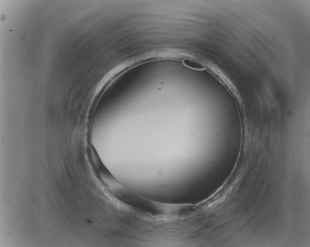 X0000083530853200702161910