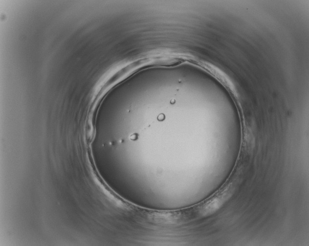 X0000083530855200702161910