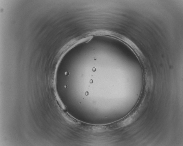 X0000083530857200702161910