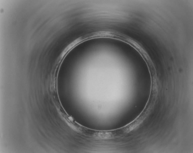 X0000083530858200702161910