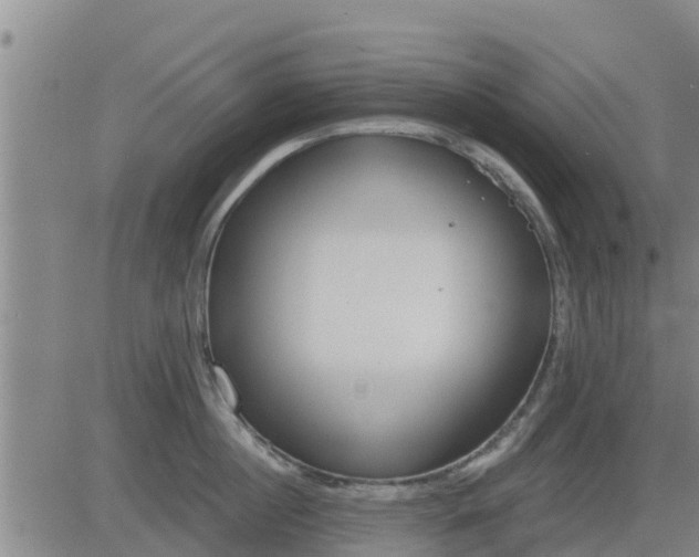 X0000083530860200702161911