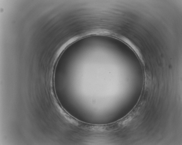 X0000083530861200702161911