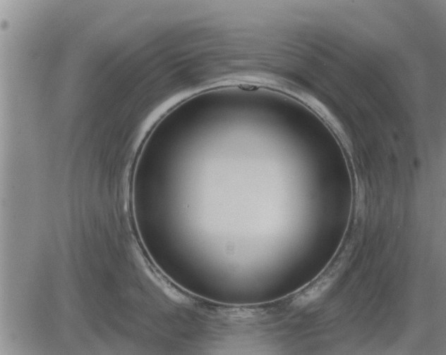 X0000083530862200702161911