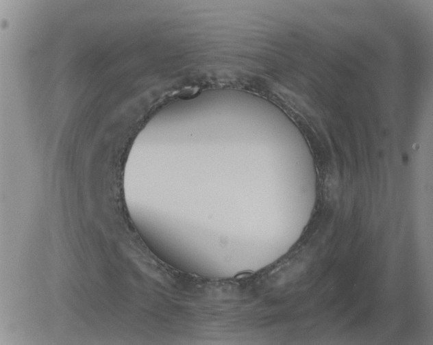 X0000083530865200702161910