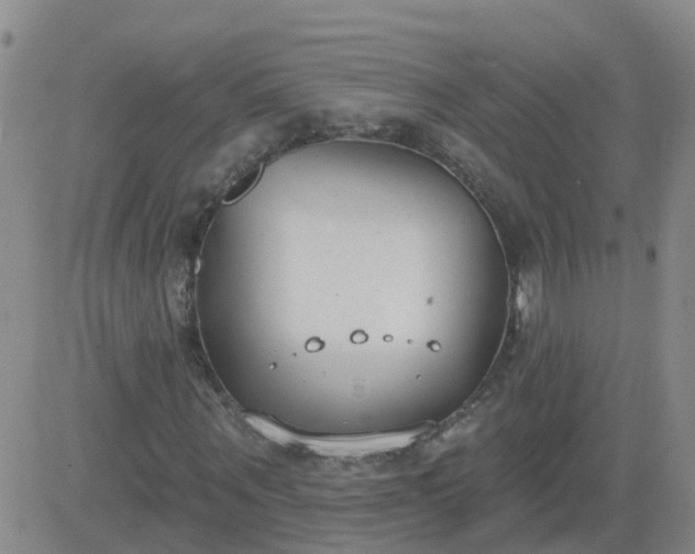 X0000083530867200702161910