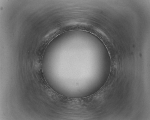 X0000083530869200702161910