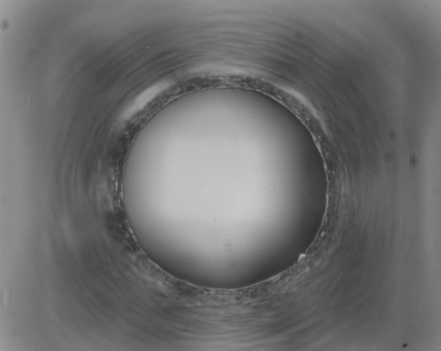 X0000083530871200702161910