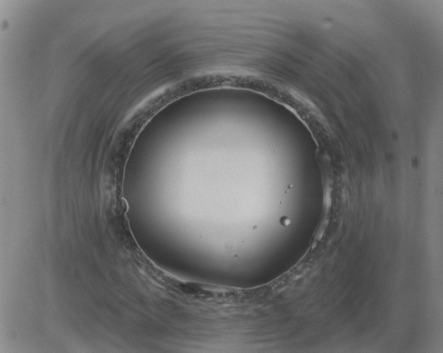 X0000083530872200702161910