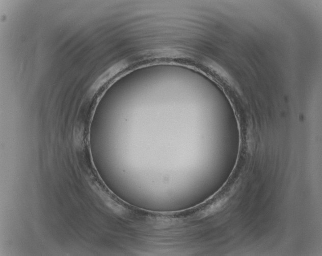 X0000083530873200702161910