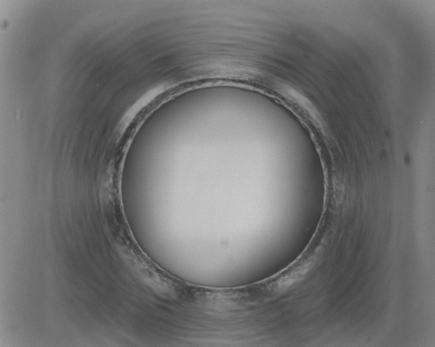 X0000083530875200702161910