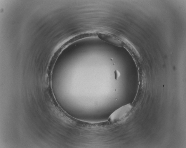 X0000083530876200702161910