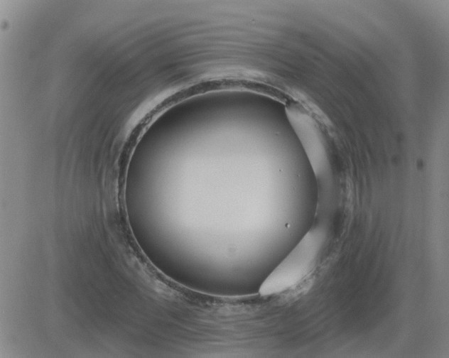 X0000083530877200702161910